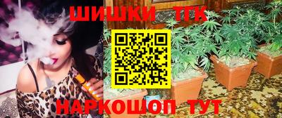 индика Владивосток