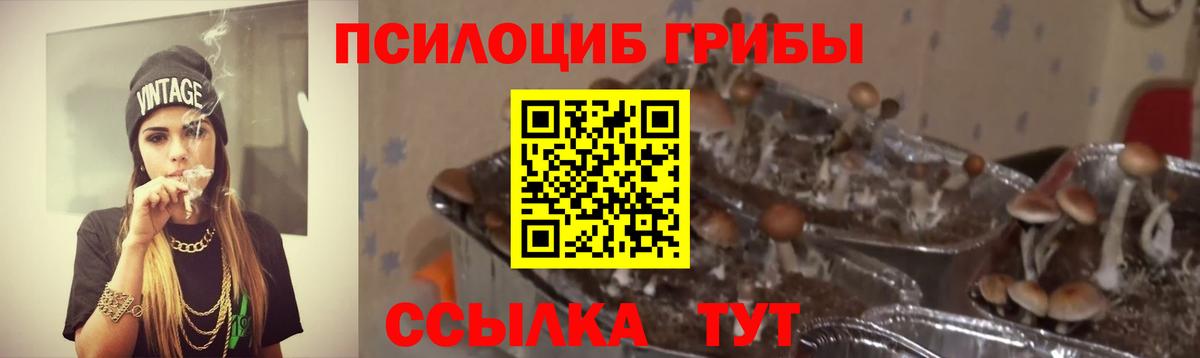 Батайск  Галлюциногенные грибы Psilocybine cubensis  Вход с VPN  Псилоцибиновые грибы ЛСД 